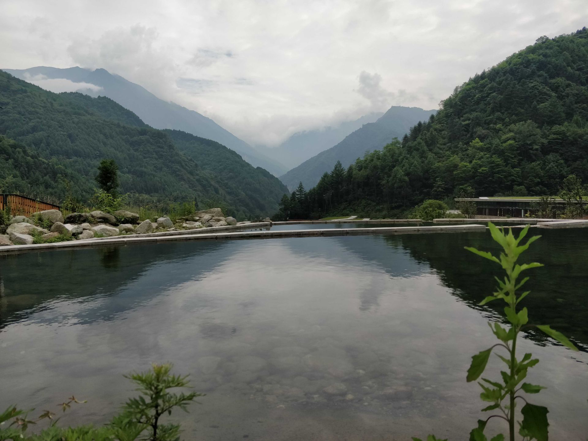 卧龙中华大熊猫苑神树坪基地旅游景点攻略图