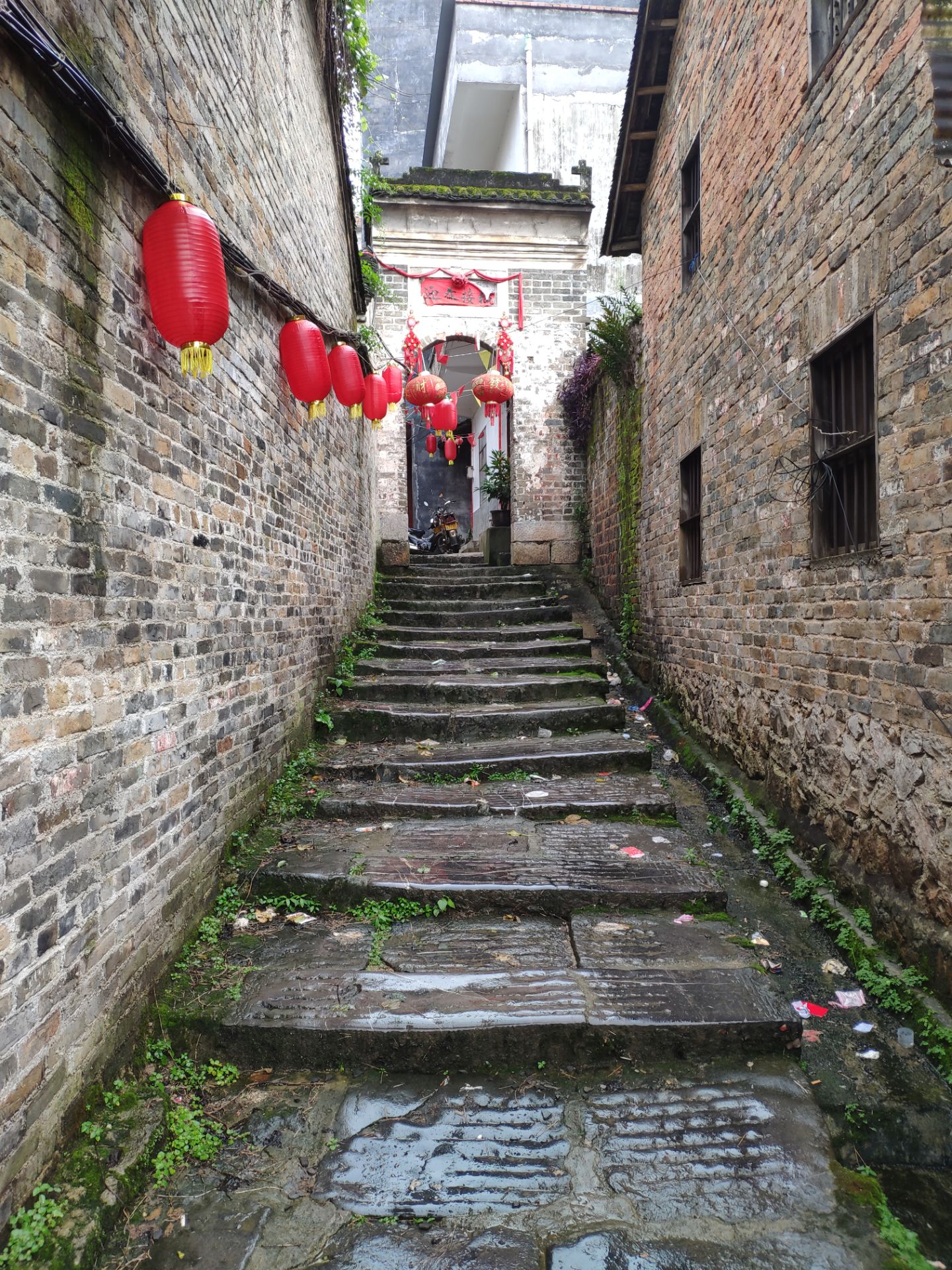 2025桂林榕津千年古街游玩攻略,但是算是带有榕树特色的景点...【去哪儿攻略】