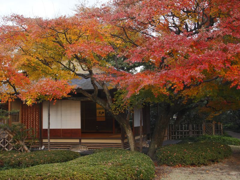 福冈松风园攻略-松风园门票价格多少钱-团购票价预定优惠-景点地址