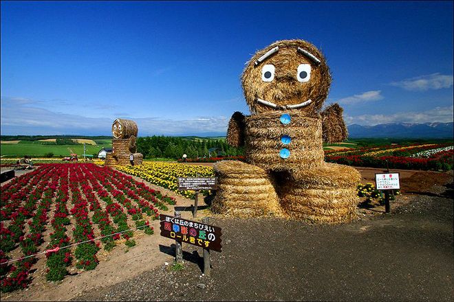 富田农场旅游景点攻略图