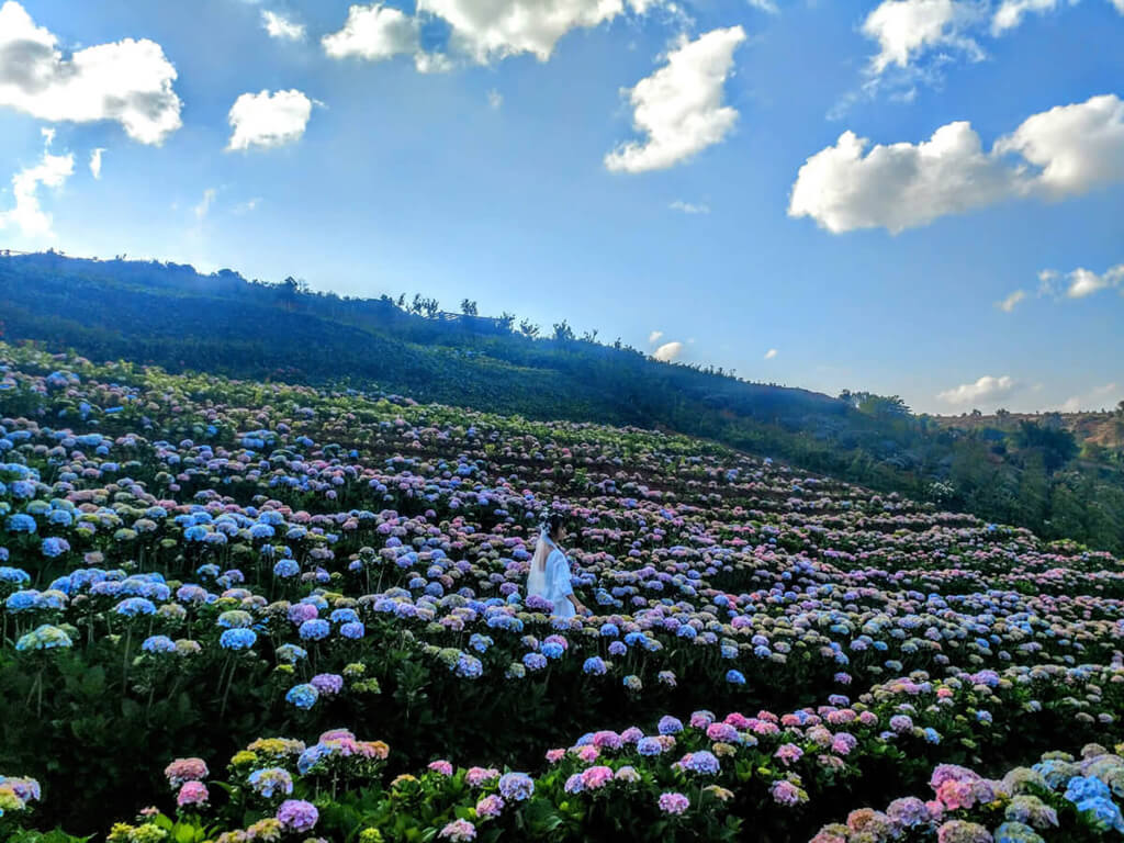 宜良县阳宗镇图片