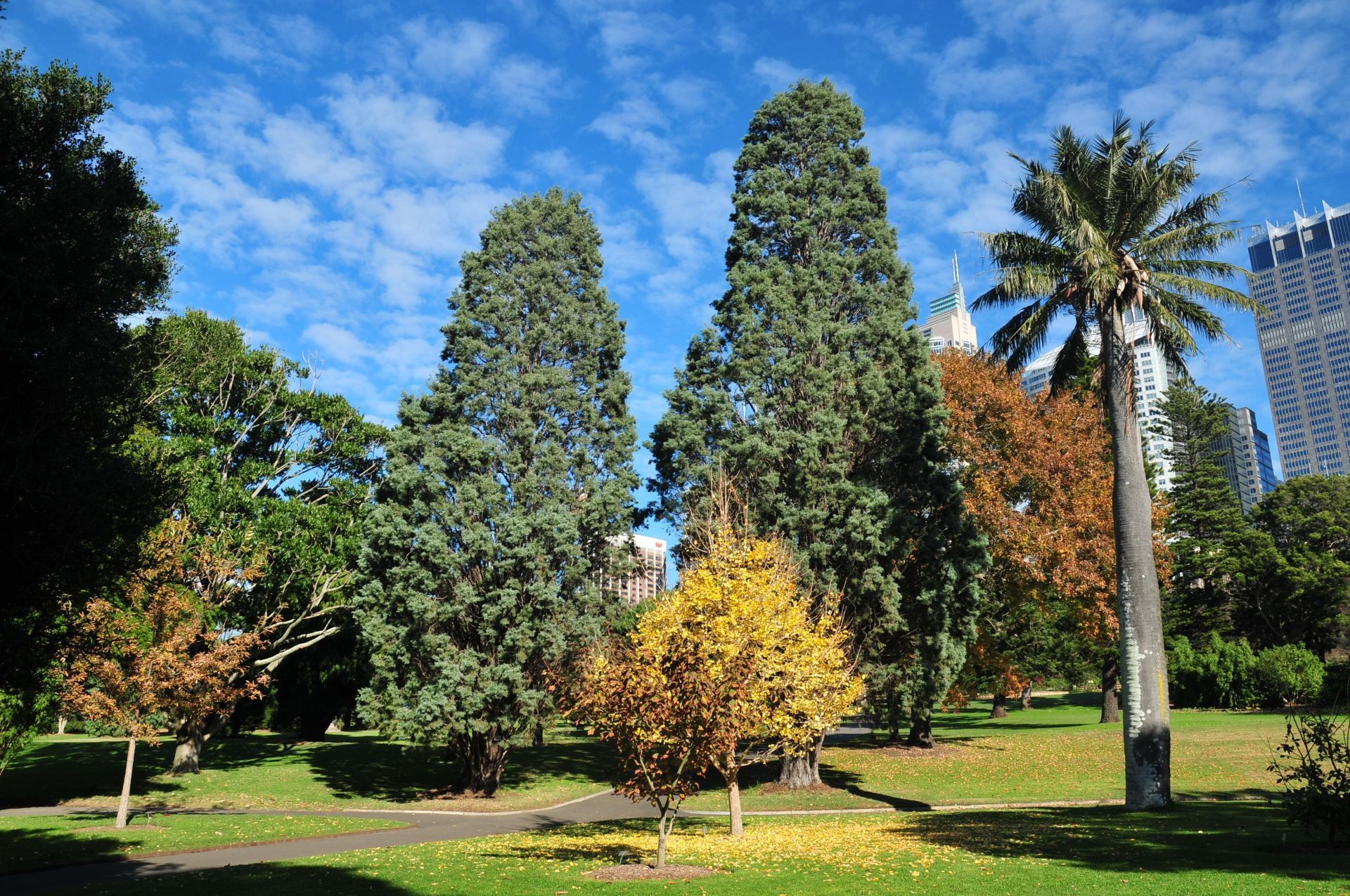 Royal Botanic Gardens Sydney - City of Sydney