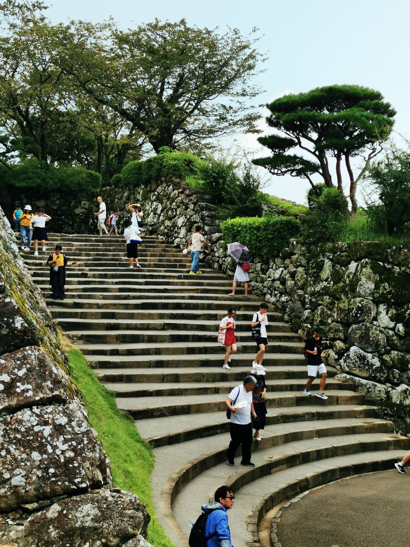 2024高知城游玩攻略,高知城是位于高知县的一座日...【去哪儿攻略】