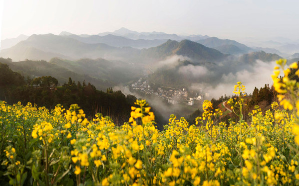 歙縣石潭村攻略,歙縣石潭村門票/遊玩攻略/地址/圖片/門票價格【攜程