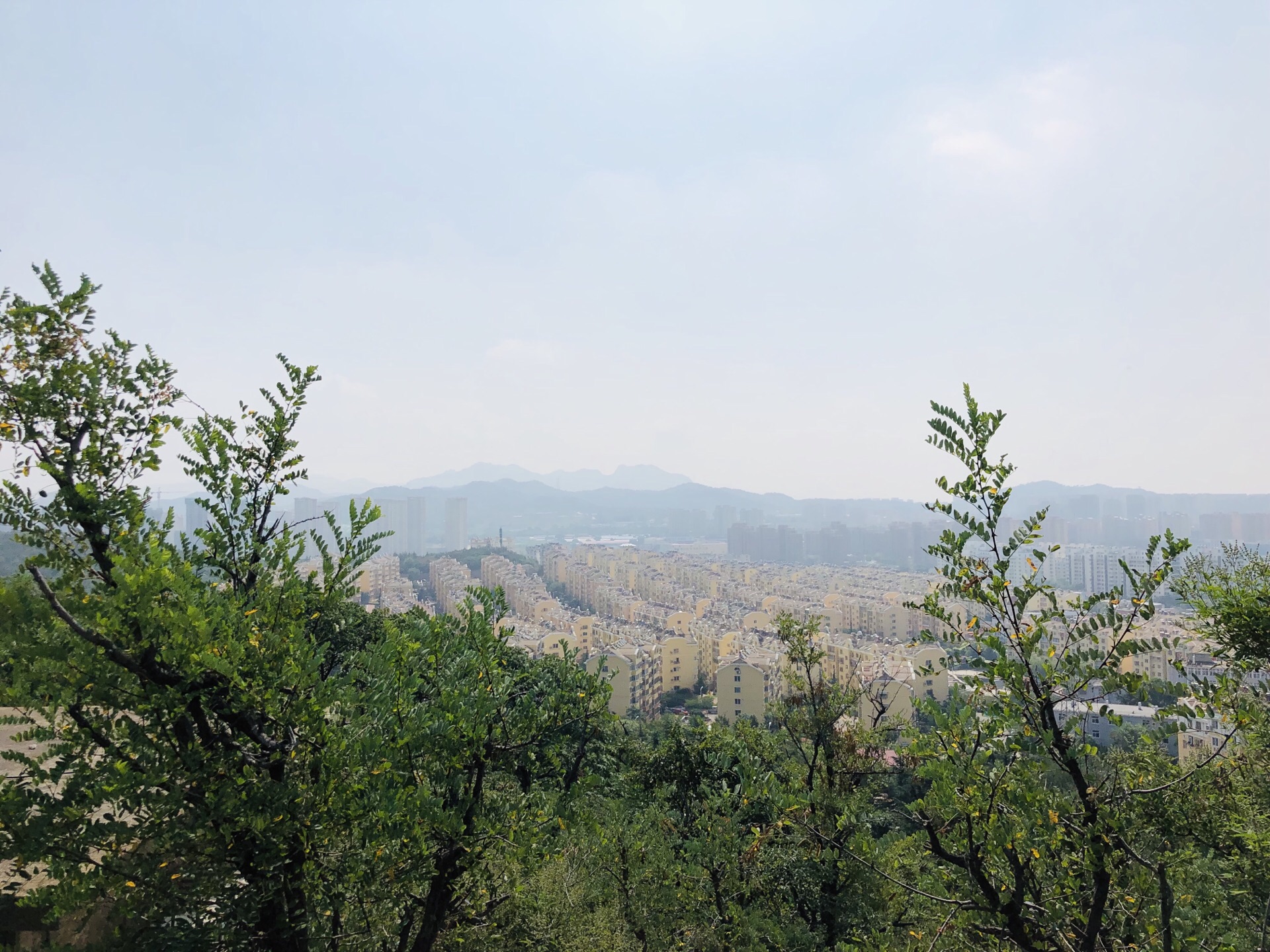 2020楼山公园-旅游攻略-门票-地址-问答-游记点评,青岛旅游旅游景点