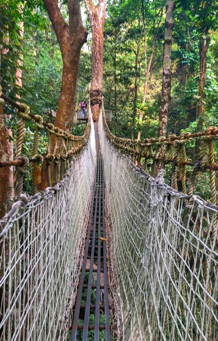 西双版纳雨林谷