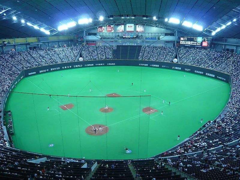 札幌穹顶体育场图片