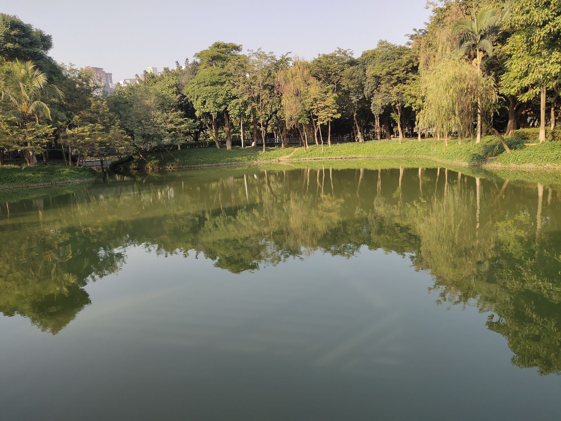 顺德区北滘公园攻略,顺德区北滘公园门票/游玩攻略/地址/图片/门票