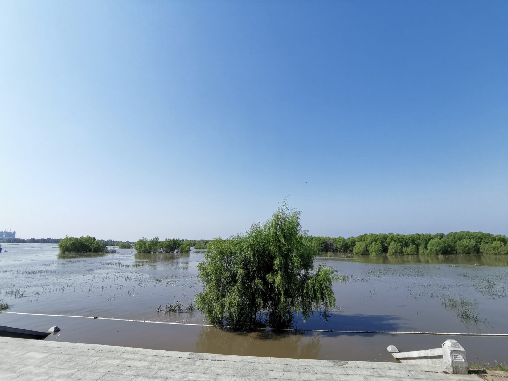 【携程攻略】齐齐哈尔嫩江公园景点,去的时候恰逢嫩江涨水,江边的道路