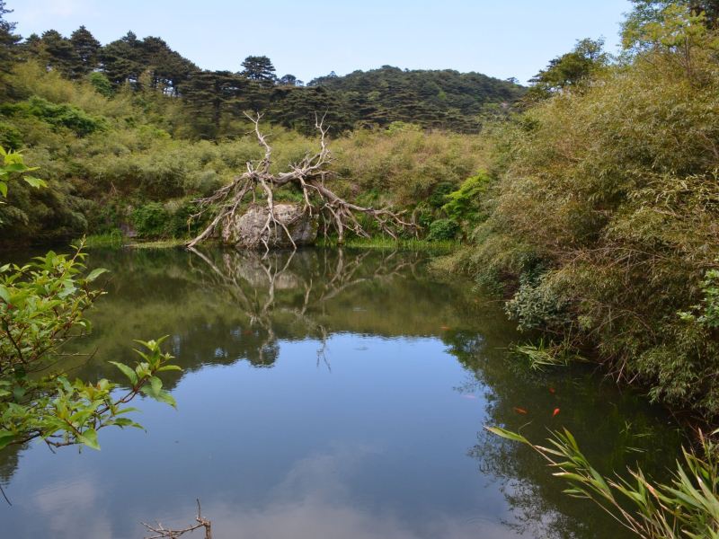 三清山净衣池游玩攻略-净衣池门票多少钱/价格表-团购票价预定优惠