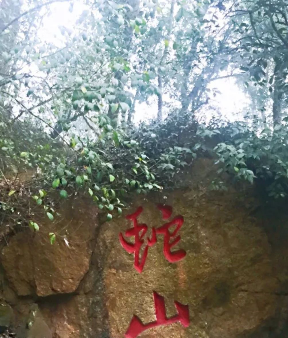 南京蛇山图片
