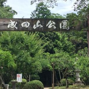 21成田市樱之山 旅游攻略 门票 地址 问答 游记点评 成田市旅游旅游景点推荐 去哪儿攻略