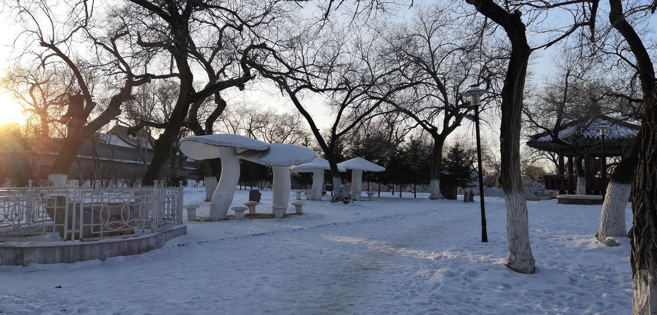 龍沙公園一號門進入不遠的地方,環境保護的很好,古樹參天,建築很