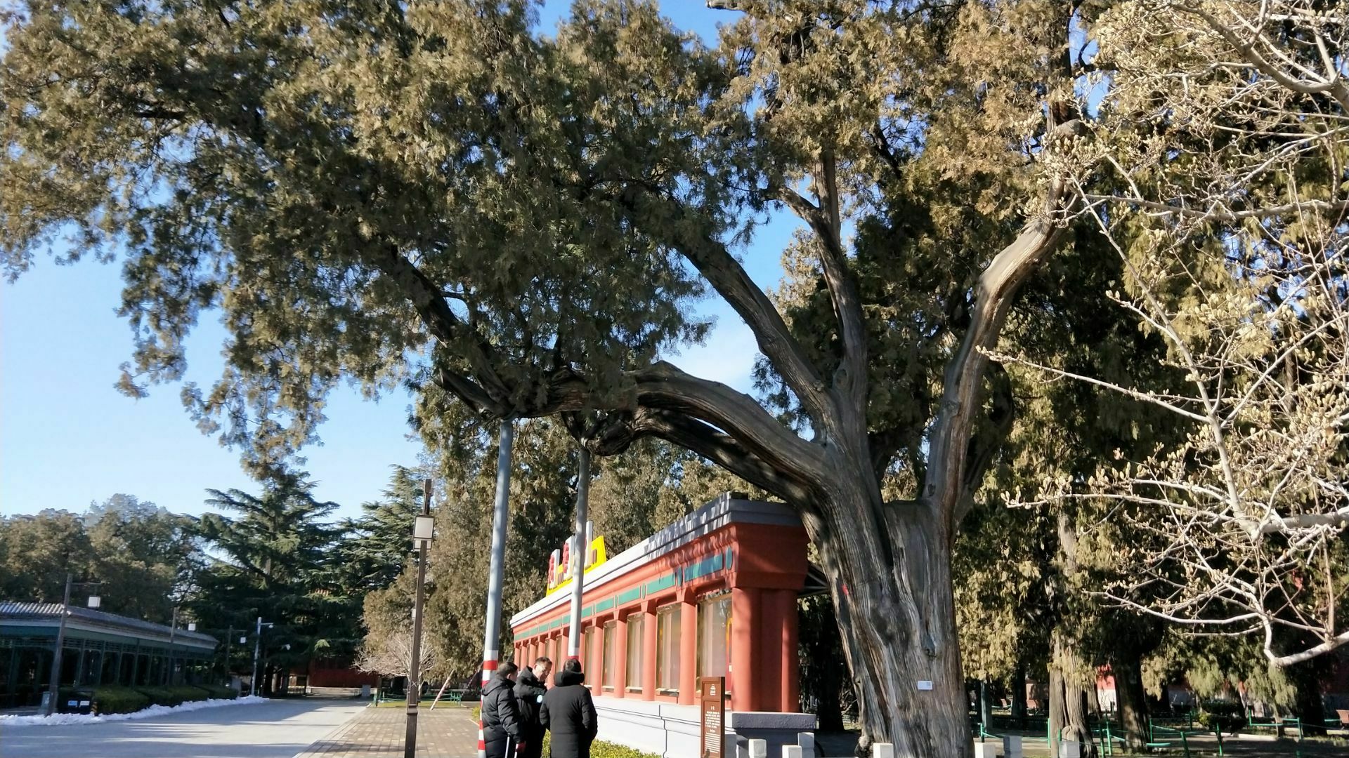 北京市劳动人民文化宫
