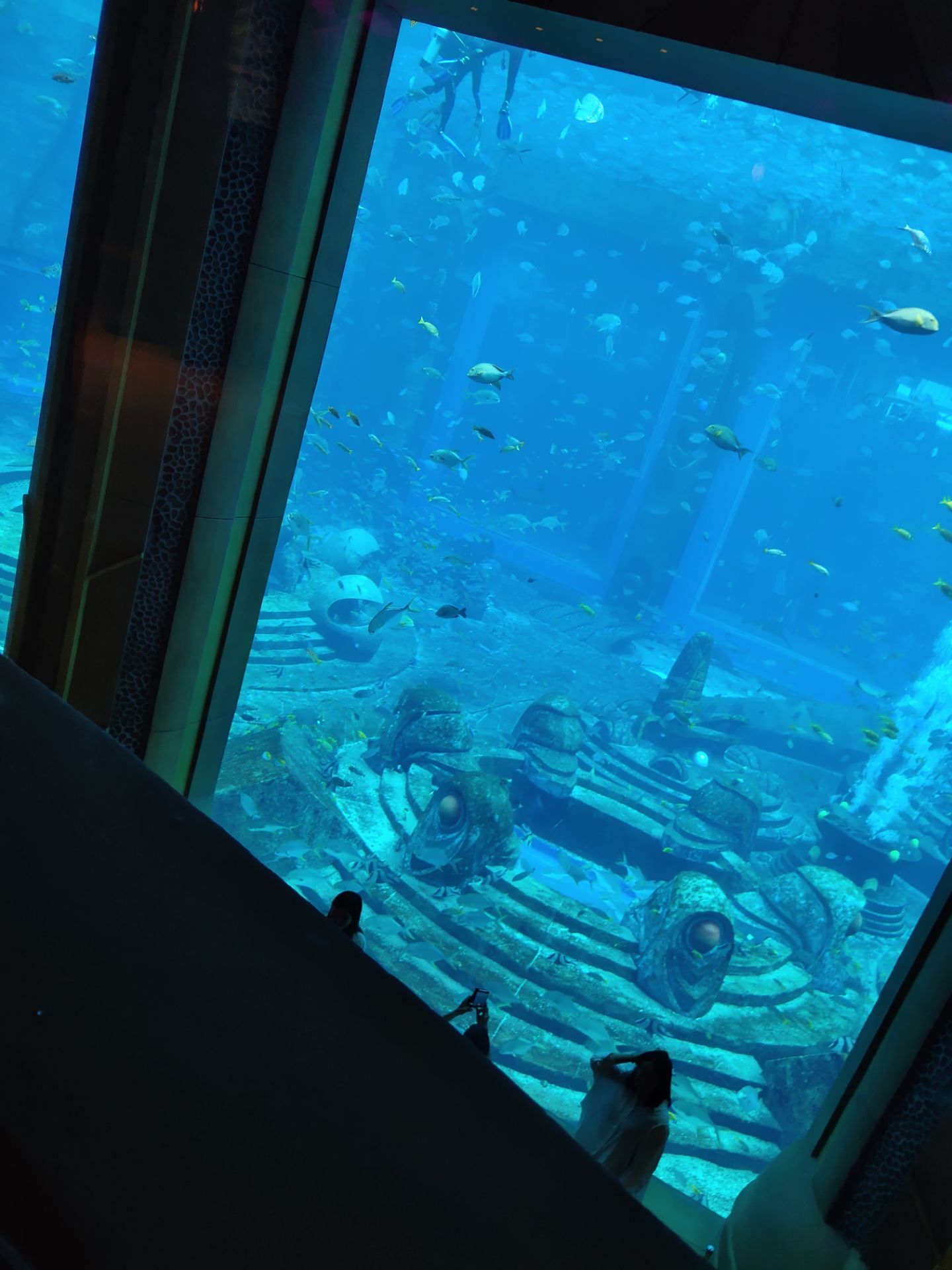 三亞亞特蘭蒂斯失落的空間水族館旅遊景點攻略圖