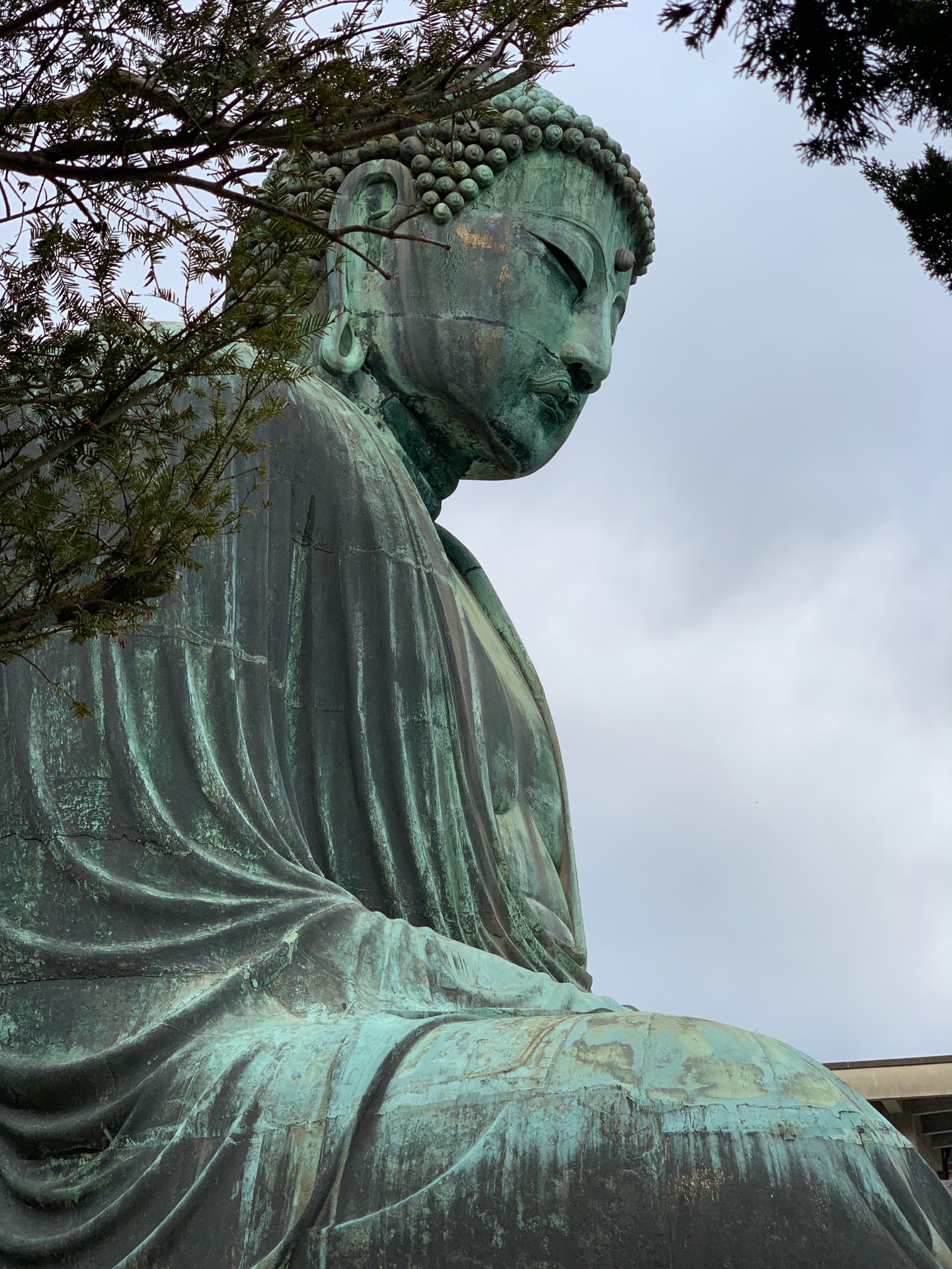 鎌倉市鎌倉大佛好玩嗎,鎌倉市鎌倉大佛景點怎麼樣_點評_評價【攜程攻