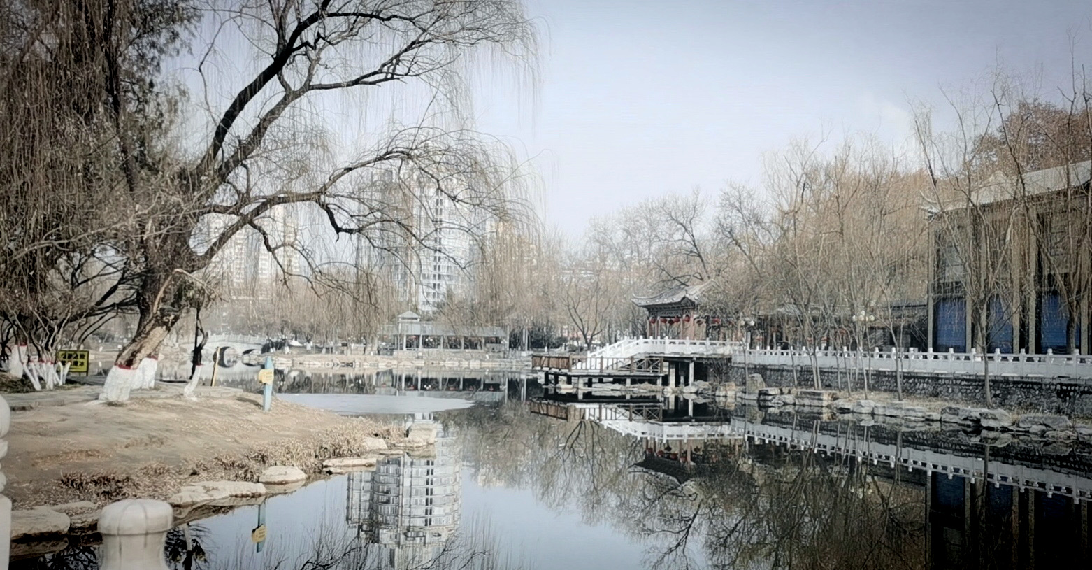 河北石家庄：冬季植树绿化城市