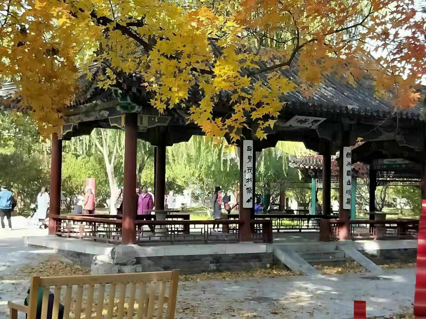 2019地坛-旅游攻略-门票-地址-问答-游记点评，北京旅游旅游景点推荐-去哪儿攻略