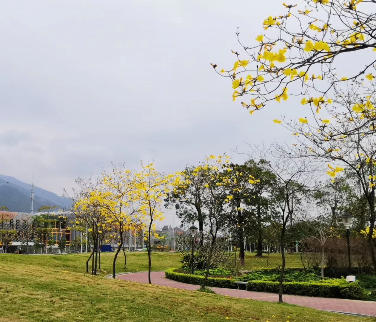 肇慶波海公園攻略,肇慶波海公園門票/遊玩攻略/地址/圖片/門票價格