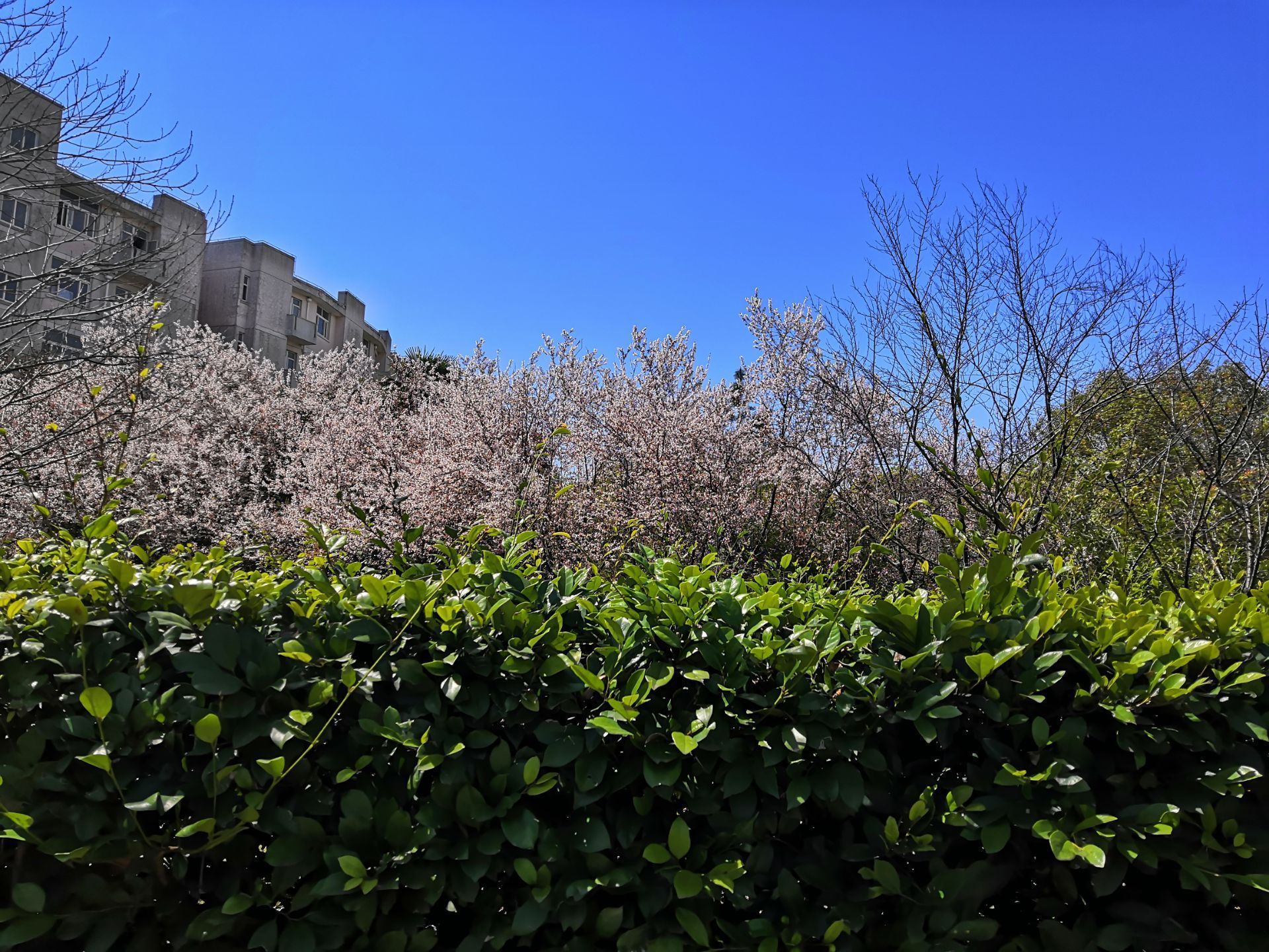 淮安柳樹灣好玩嗎,淮安柳樹灣景點怎麼樣_點評_評價【攜程攻略】