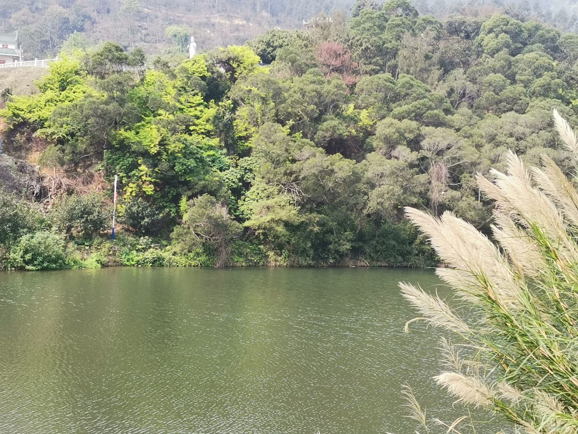 江口蒜溪生态公园