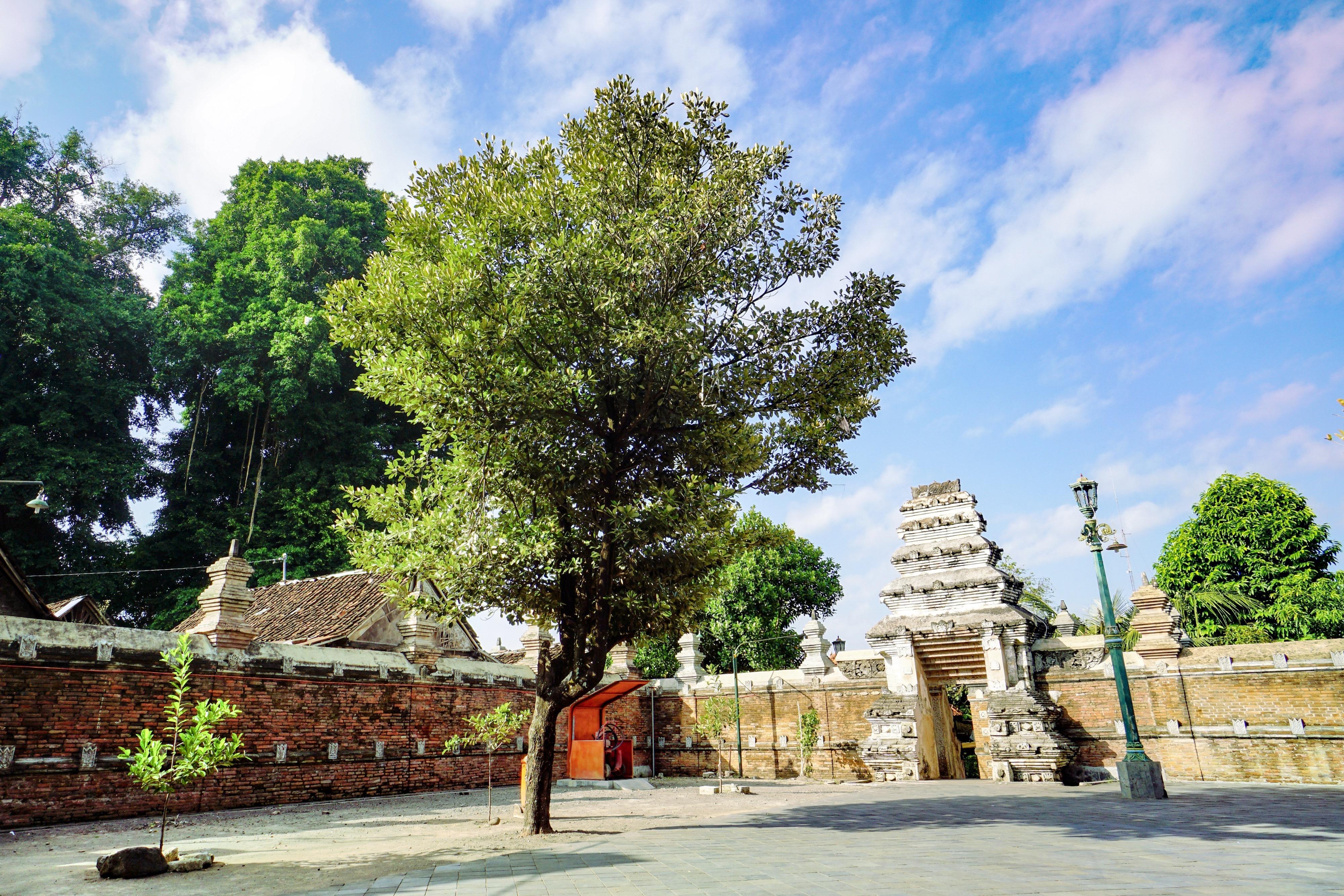 哥打格德 直线距离1.3km