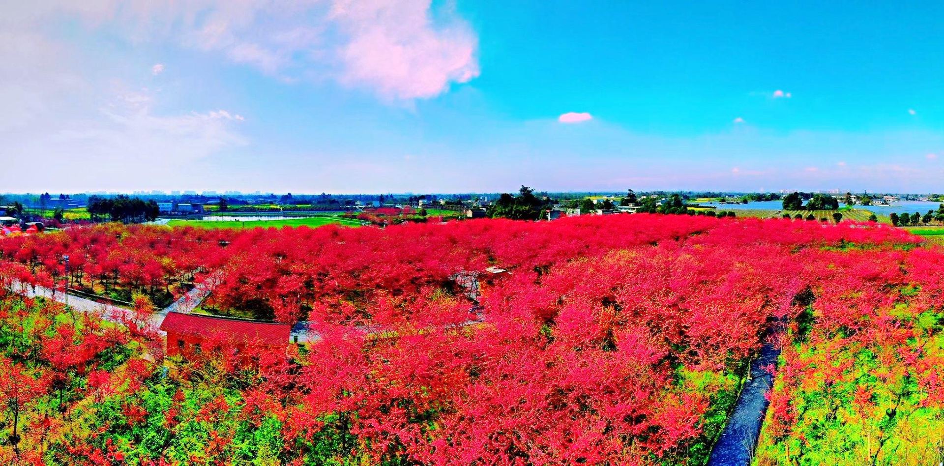 花香果居柚乡风情园