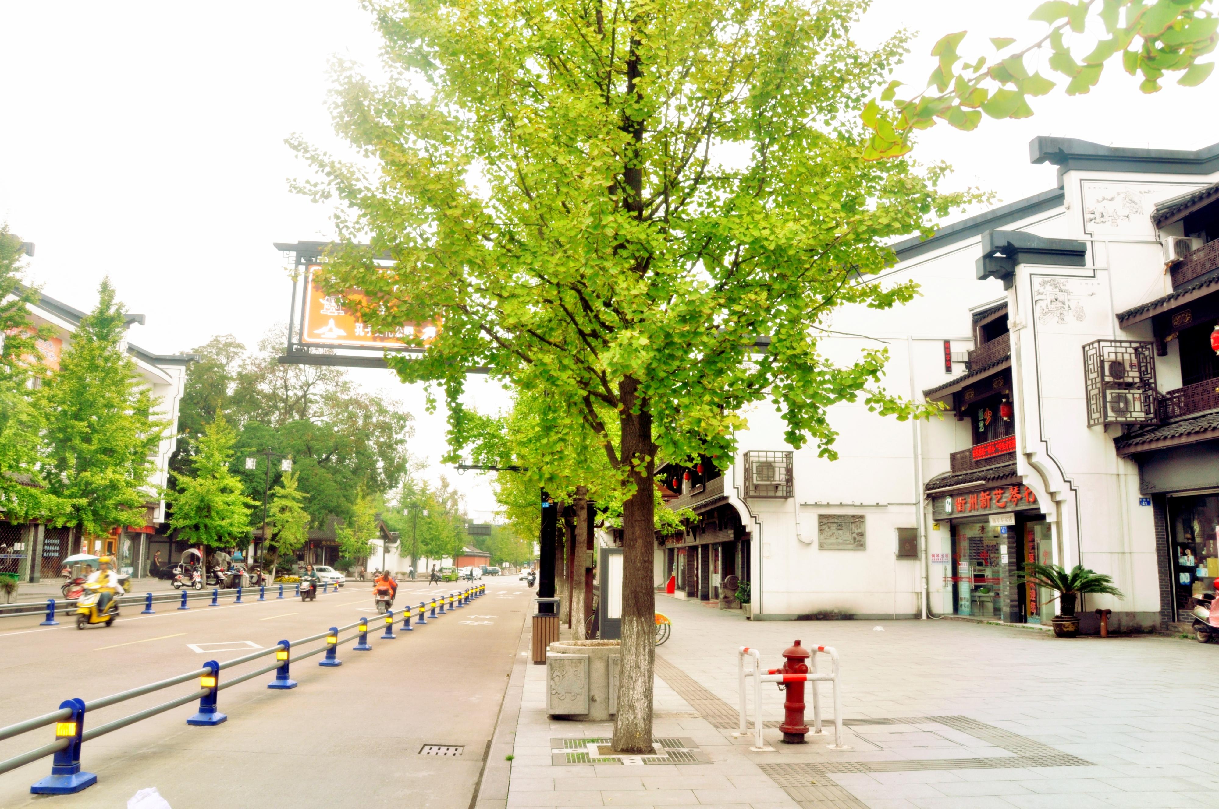 9 张 童年时光主题乐园 暂无评分 景点地址 衢州柯城区县西街128-1号