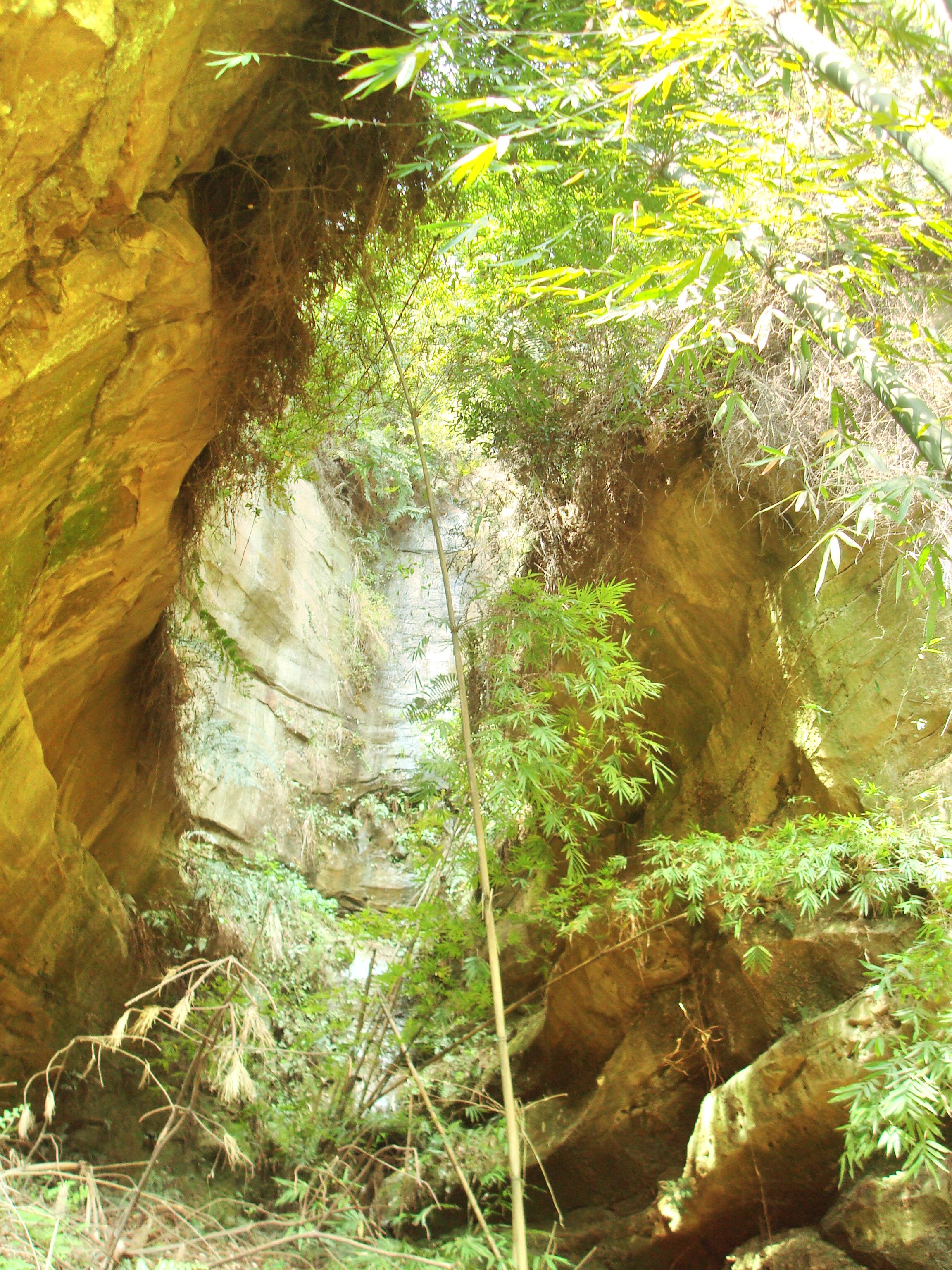 花龙沟竹海 直线距离6.7km