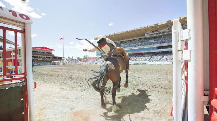 携程攻略 携程旅游攻略 自助游 自驾游 出游 自由行攻略指南