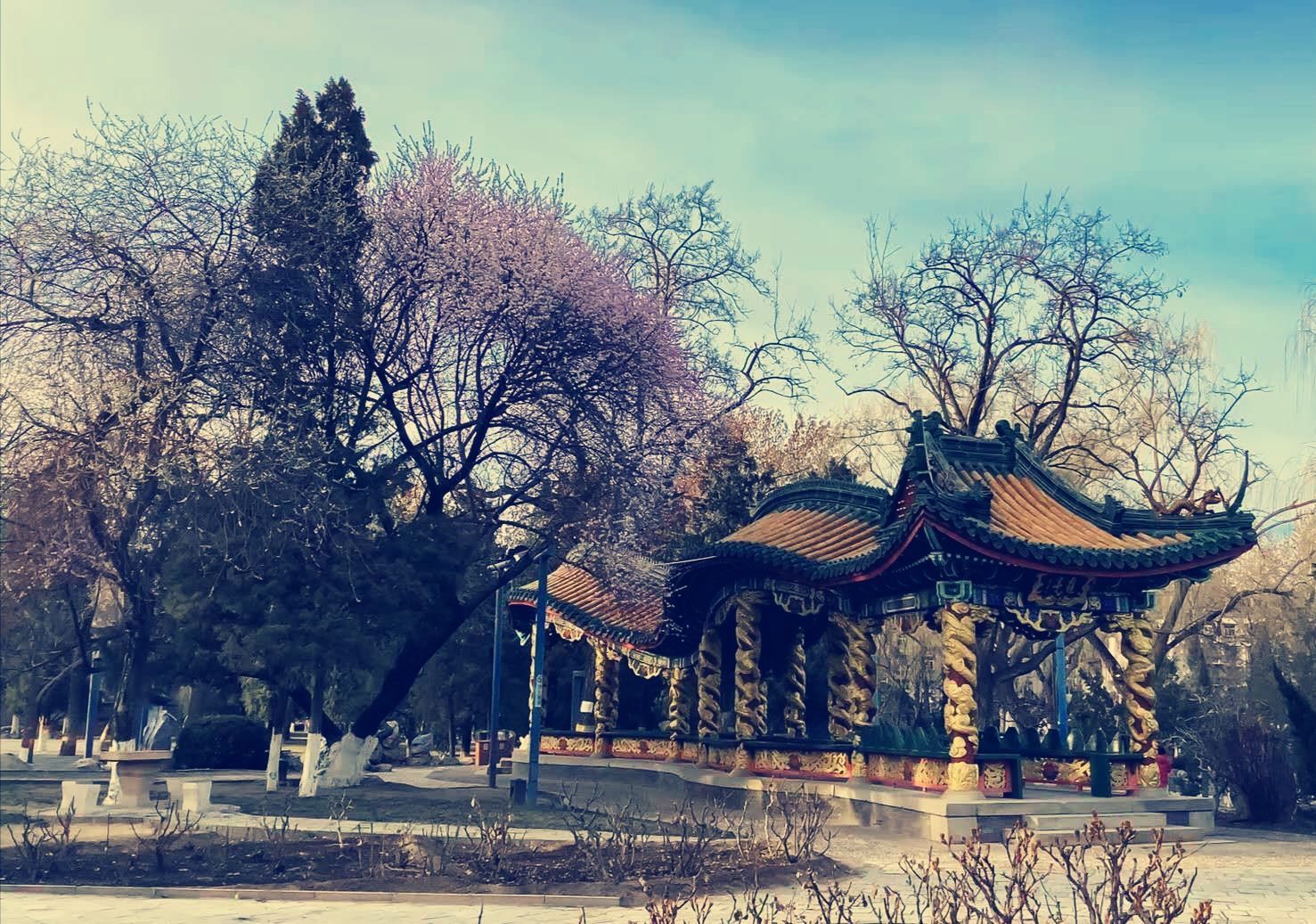北京蓝天白云下的龙潭西湖公园-中关村在线摄影论坛
