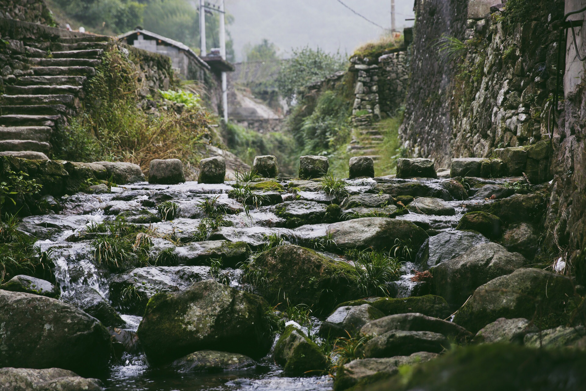 2-Day Yueqing Tour: Waterfront Scenery of Oujiang Night Cruise, Ancient Charm of Huangtandong Village