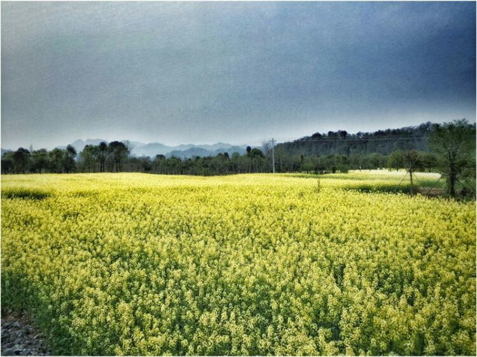 千岛湖骑行攻略