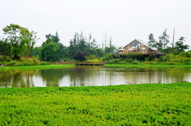 崇州市有多少人口_安逸四川 冬游天府 ,崇州有你最爱的 成都冬味儿