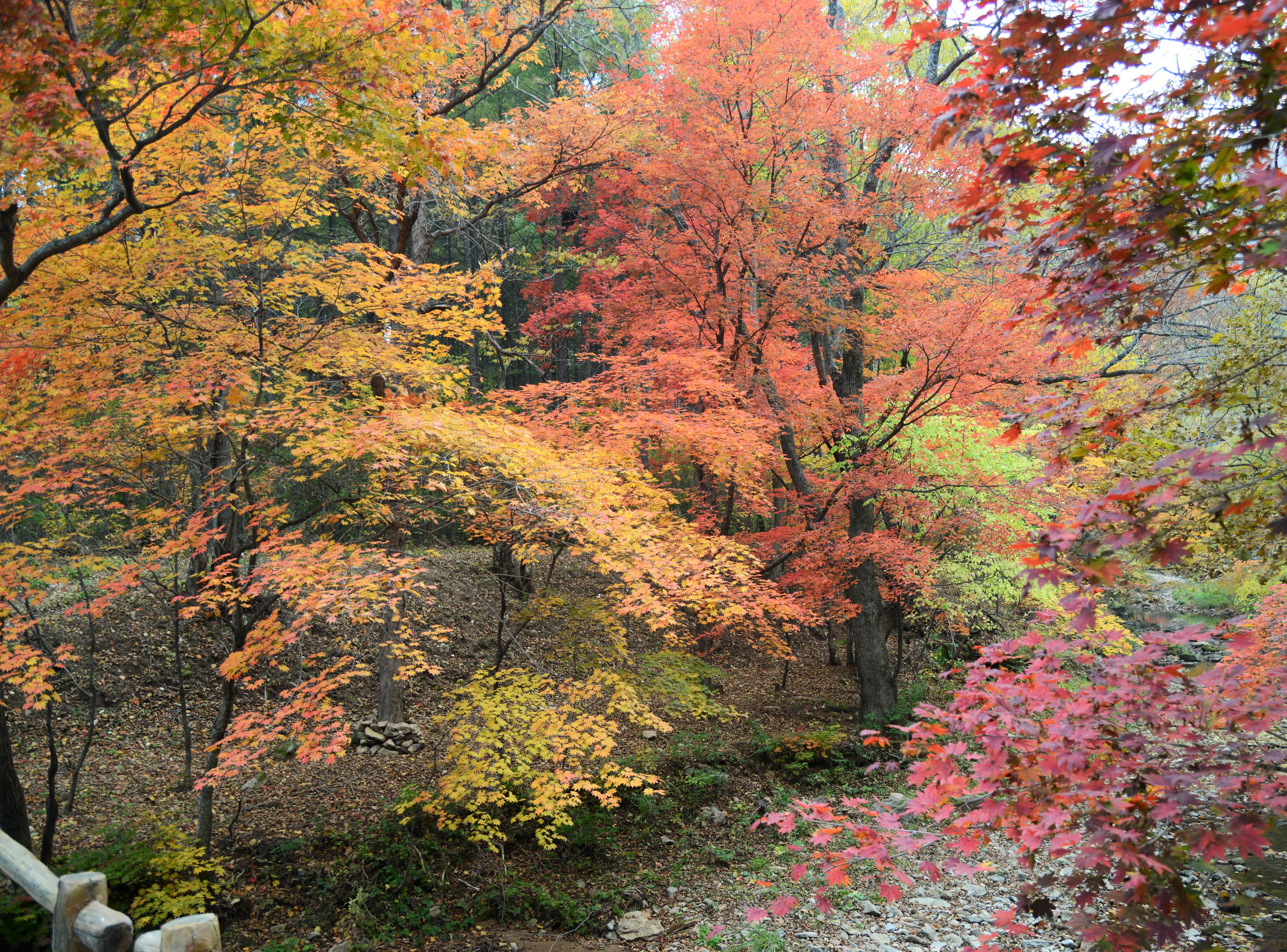 本溪縣大石湖風景區攻略,本溪縣大石湖風景區門票/遊玩攻略/地址/圖片