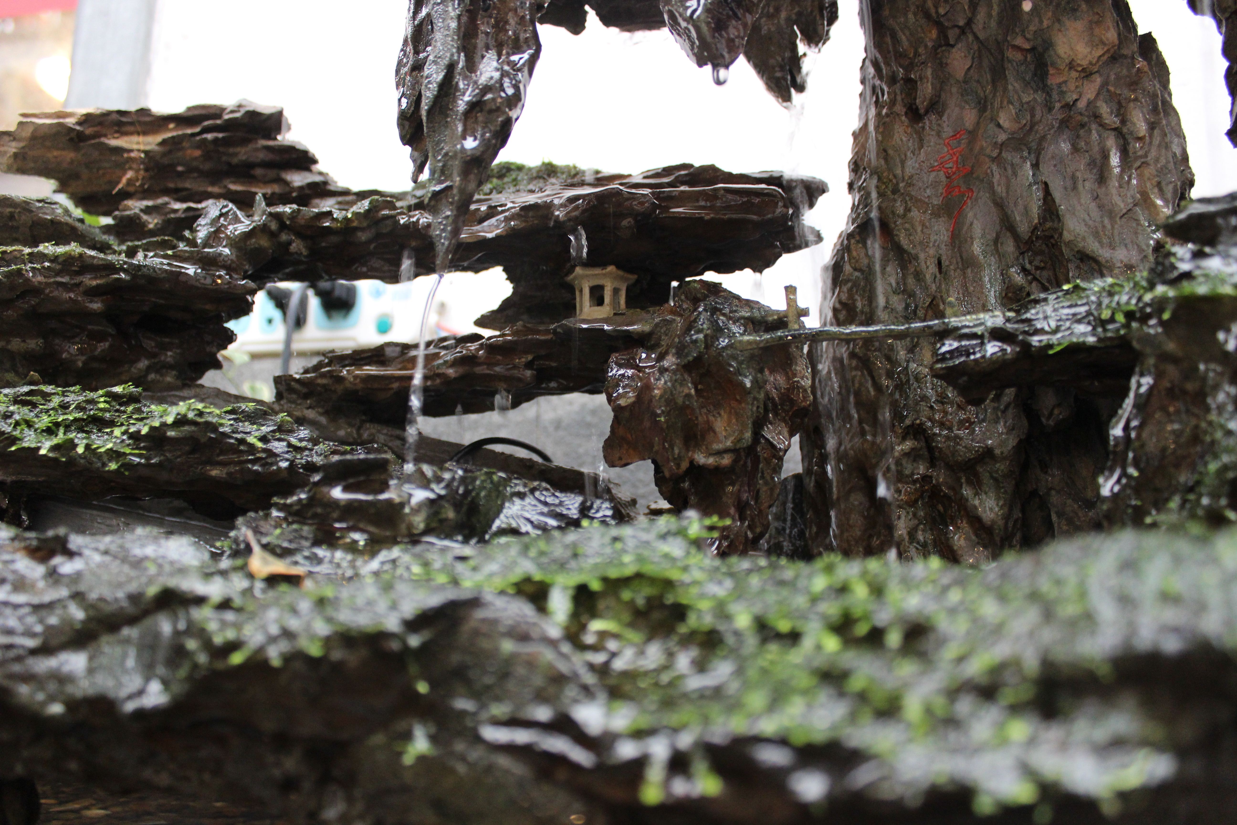 上海国际根雕城