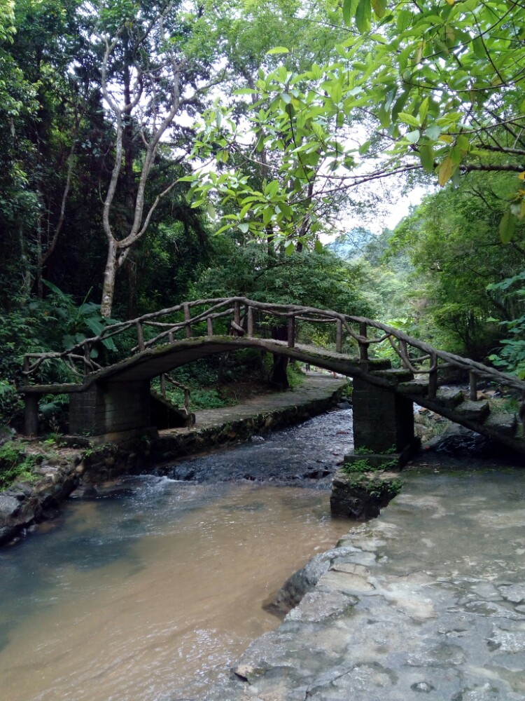 新豐江國家森林公園桂山風景區旅遊景點攻略圖