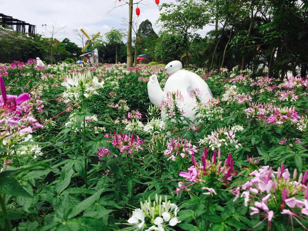 2019花都香草世界_旅游攻略_门票_地址_游记点评,花都旅游景点推荐