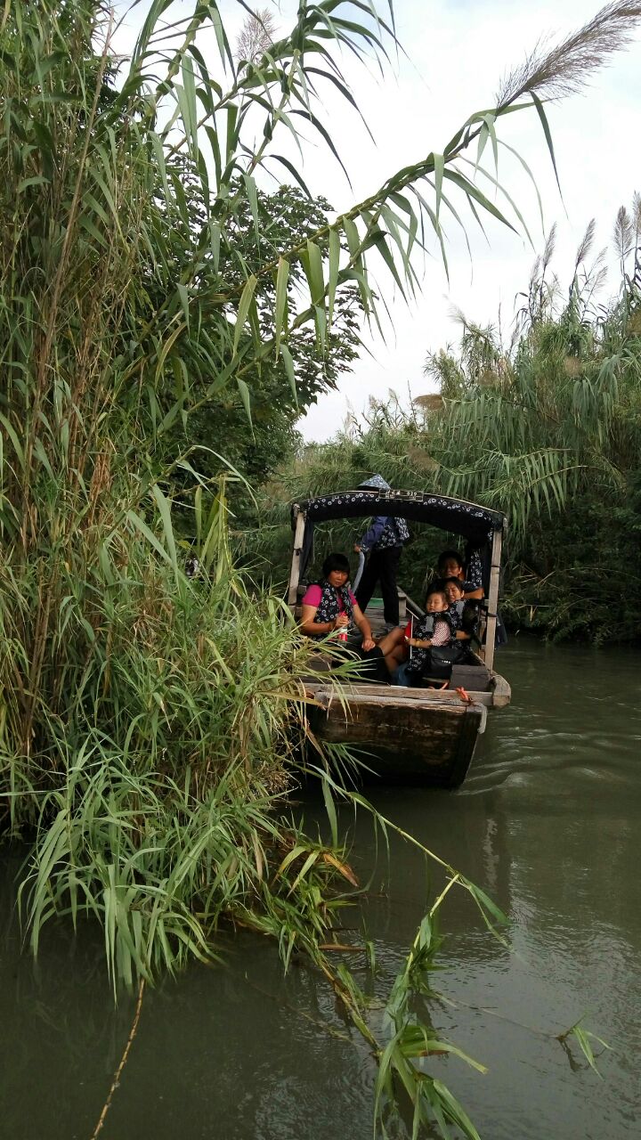 2019沙家浜風景區_旅遊攻略_門票_地址_遊記點評,常熟旅遊景點推薦