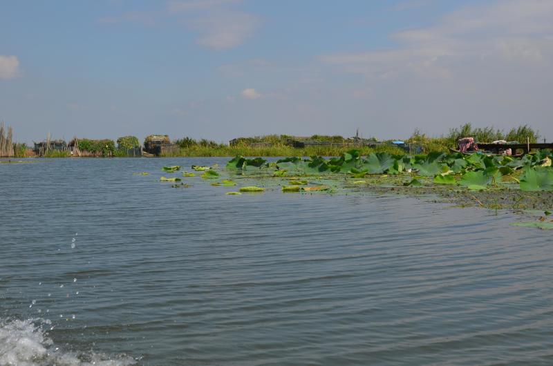 阳澄湖莲花岛旅游景点攻略图