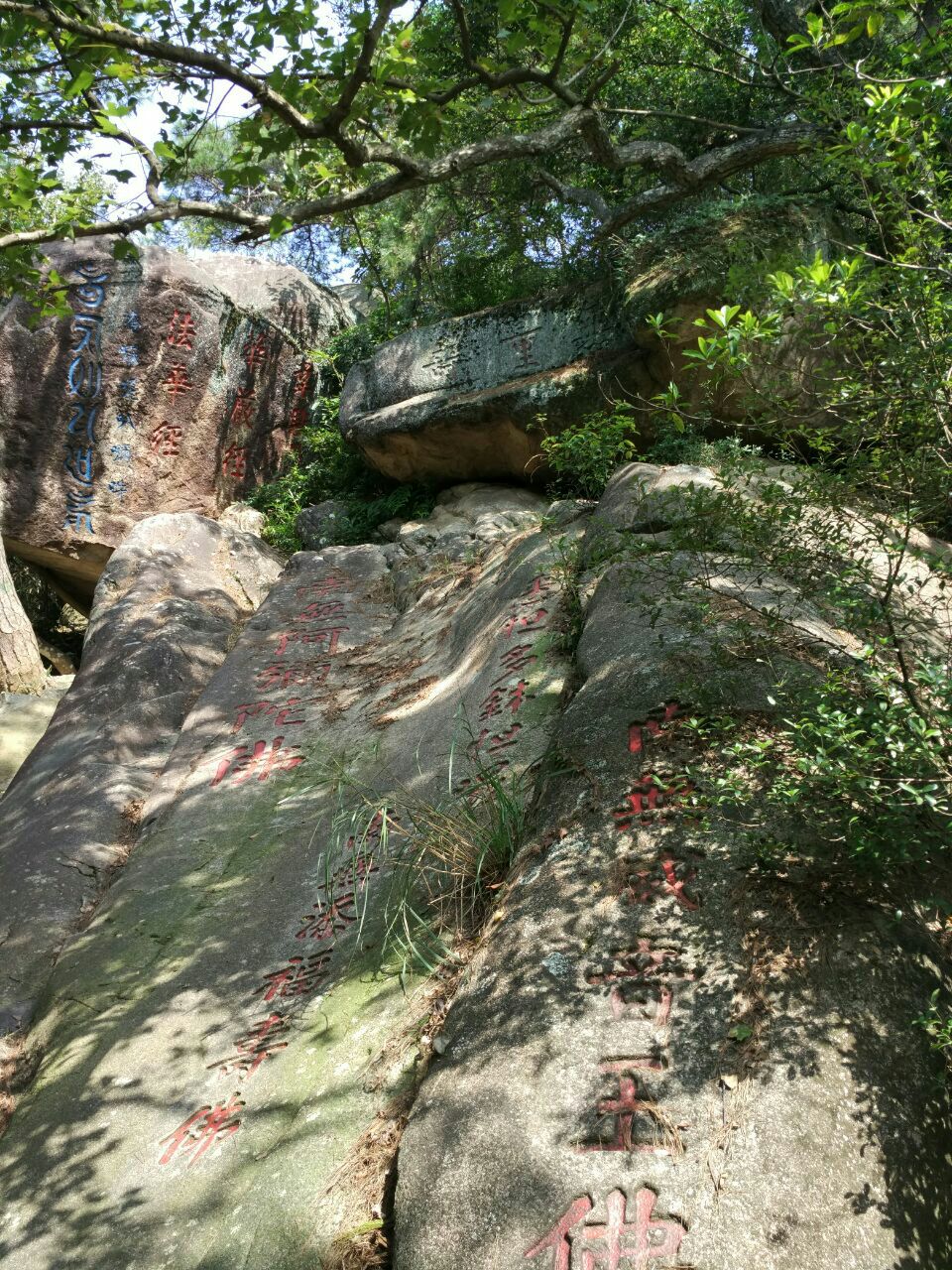 2018鼓山_旅遊攻略_門票_地址_遊記點評,福州旅遊景點推薦 - 去哪兒