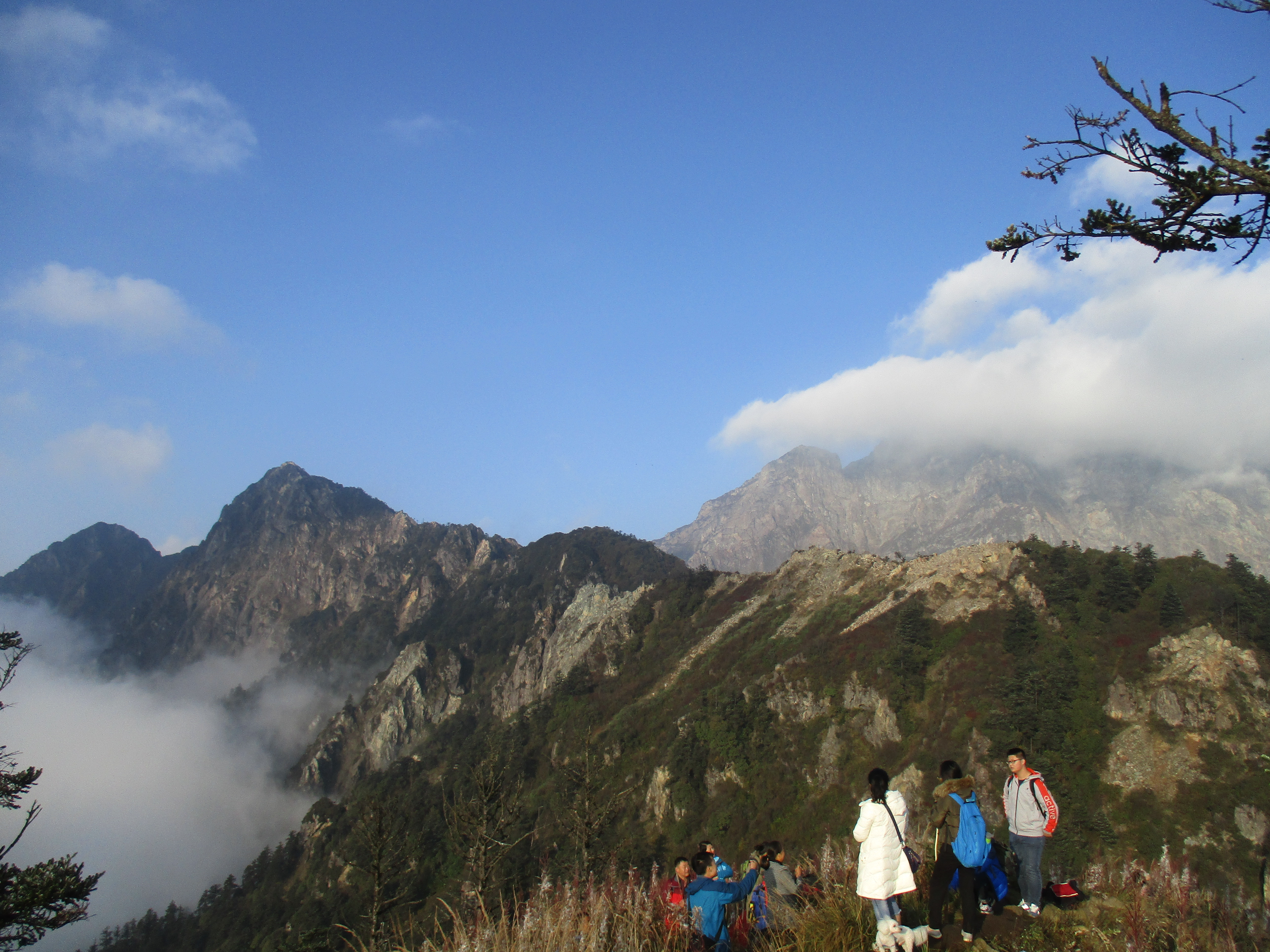 2019九峰山风景名胜区_旅游攻略_门票_地址_游记点评,彭州旅游景点