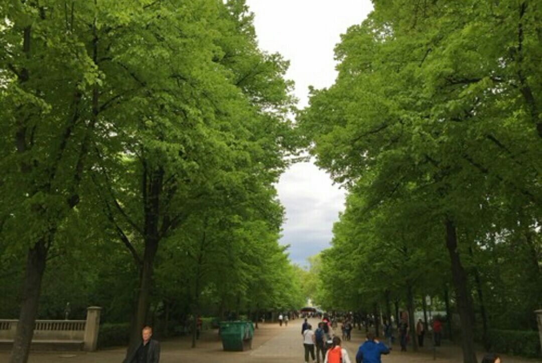 【携程攻略】柏林菩提树下大街景点,这条大街从勃兰登堡门一路通下去