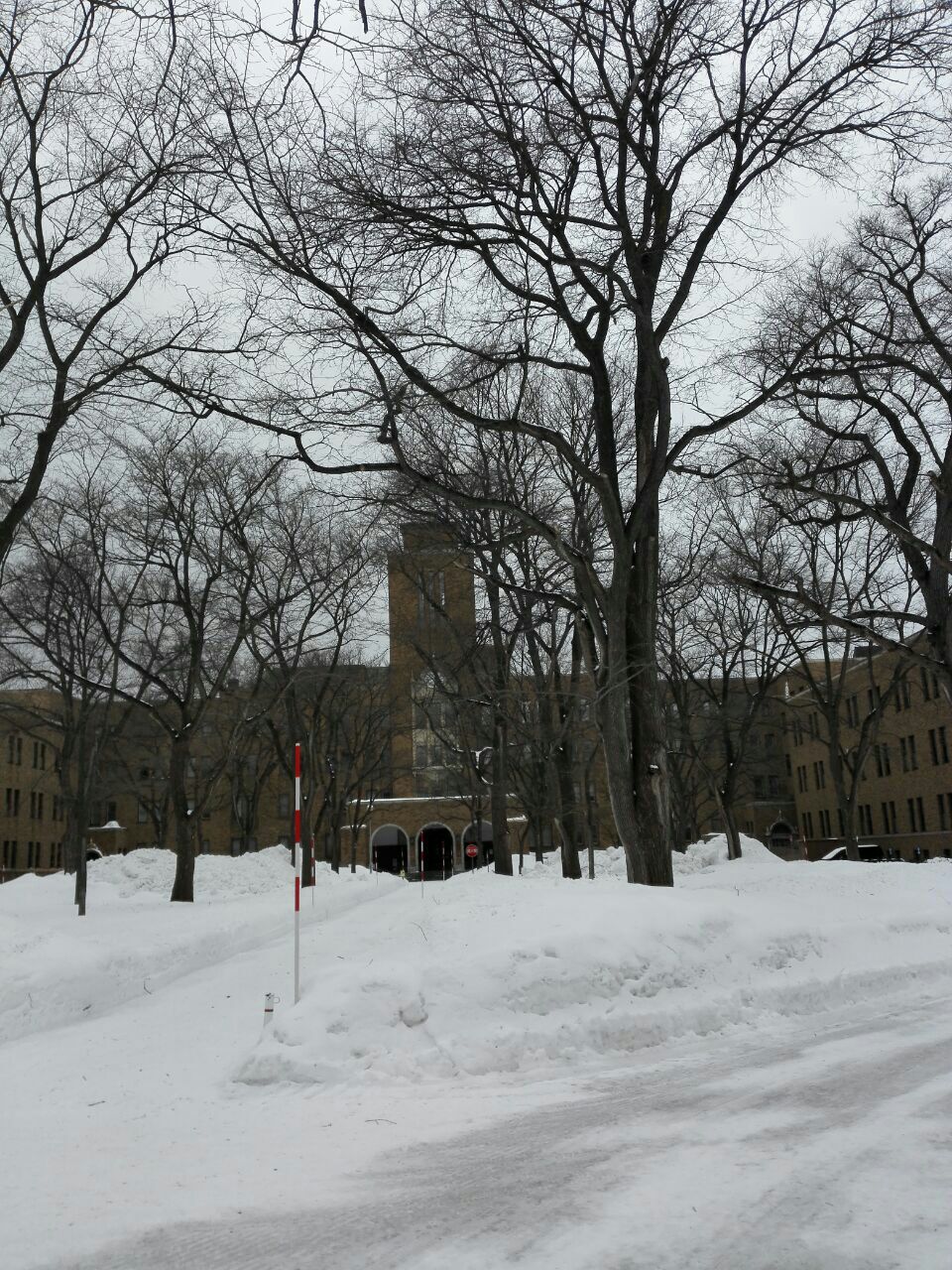 携程攻略 札幌北海道大学景点 北海道大学也是札幌的景点之一 由于要去坐jr 时间还早就顺便去了一