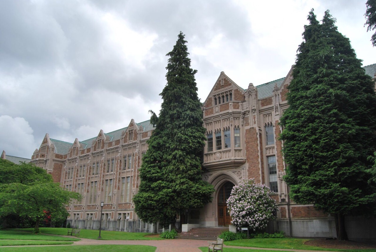 华盛顿大学