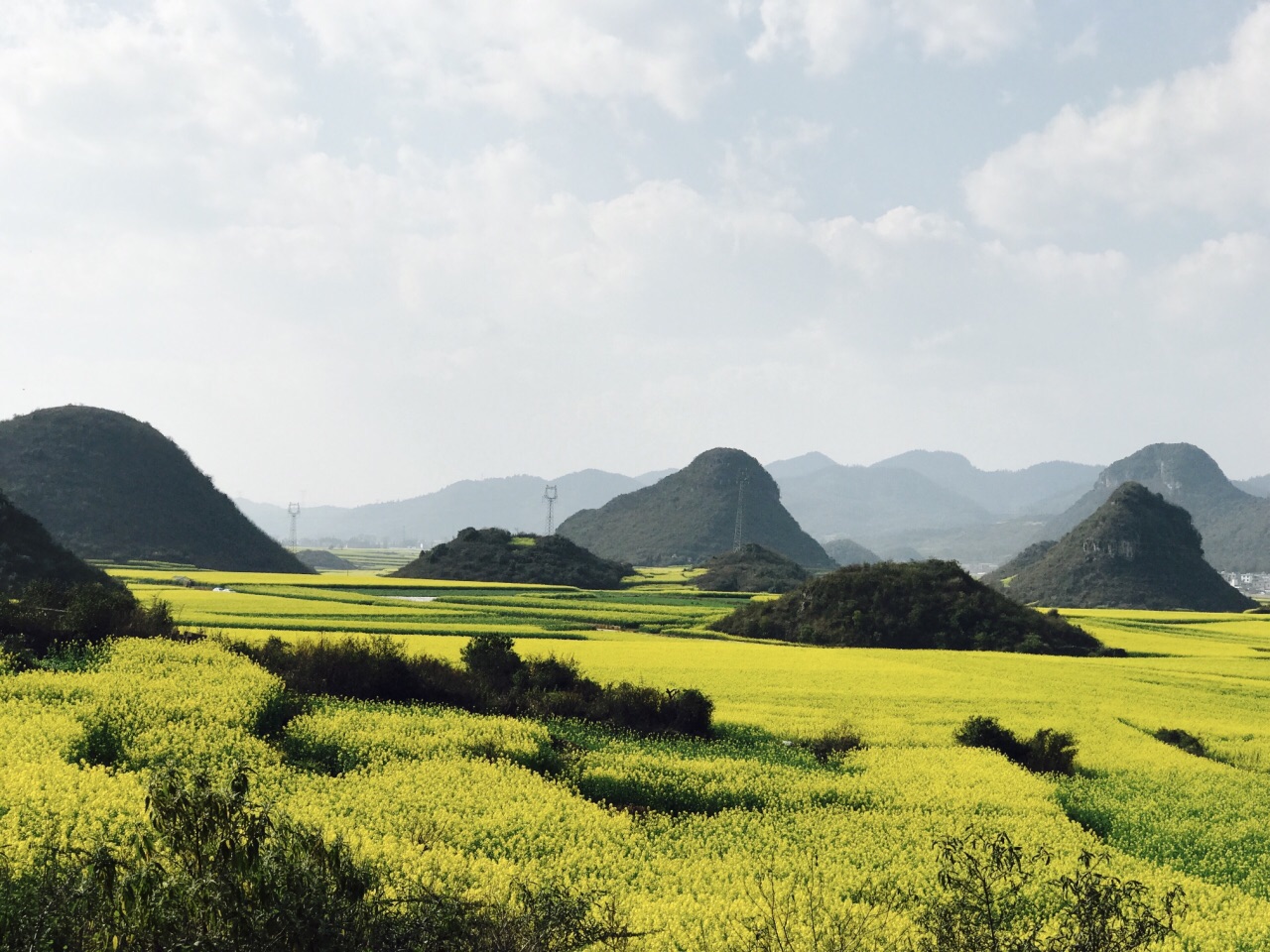 罗平油菜花海旅游景点攻略图