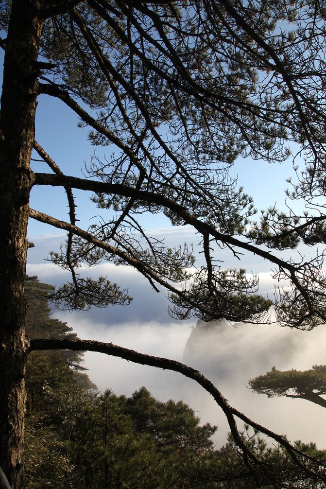 靈秀俏三清:山蒙巖峻霧似海,雲秀峰奇水至清