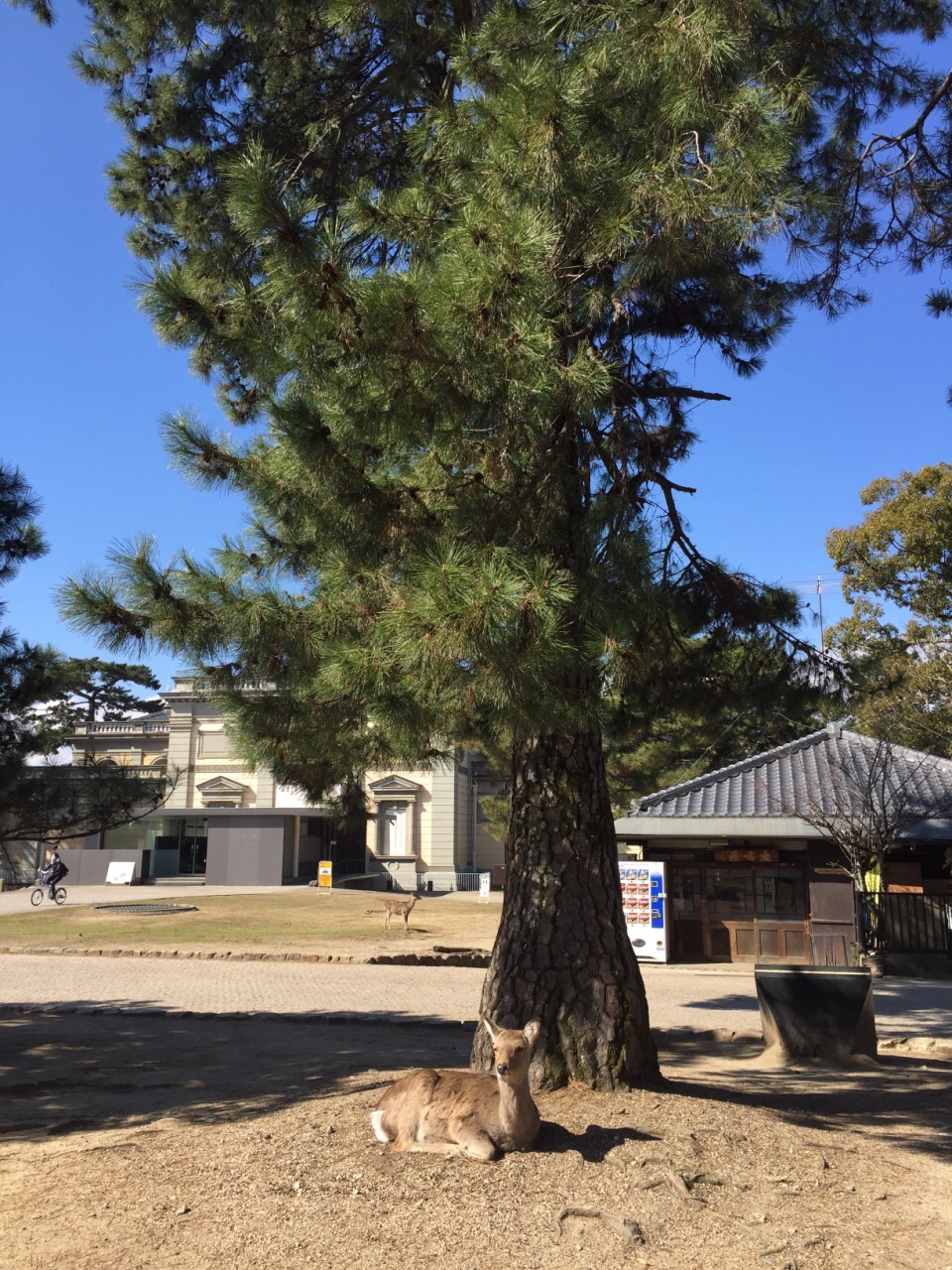 奈良公園旅遊景點攻略圖