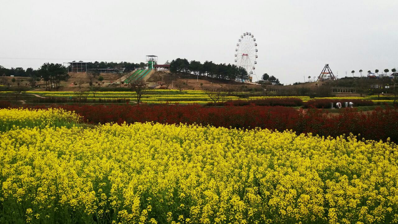 花海乐园