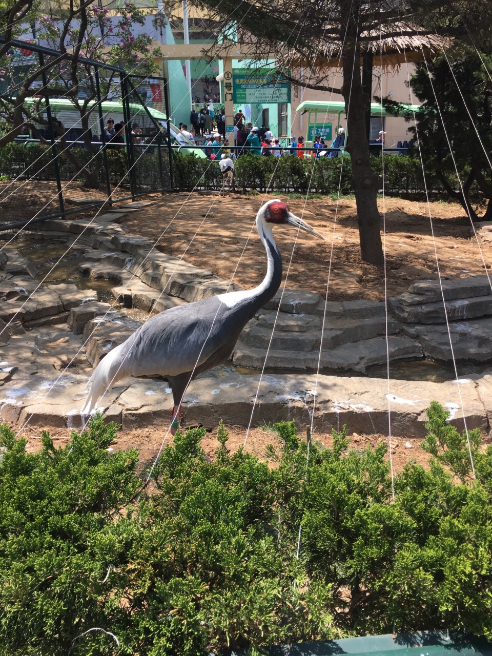 大连森林动物园